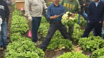 Fieldwork in Salinas