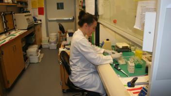 Lab Photo