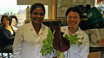 Lab Photo
