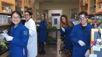 Lab Photo 2018