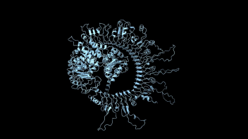 Protein structure